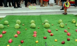 一小时吃瓜网红,揭秘网络红人的瓜田生活